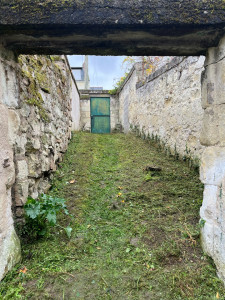 Photo de galerie - Tonte et débroussaillage 