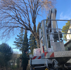 Photo de galerie - Travaux réalisés avec nacelle