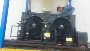 Photo de galerie - Unité de condensation avec compresseur 5 CV pour la congélation