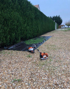 Photo de galerie - Taille de haie