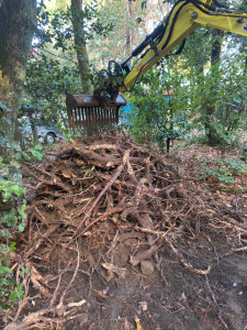 Photo de galerie - Tris et. évacuation de racine grâce au godet râteau qui permet de trier les déchets facilement 