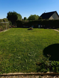 Photo de galerie - Tonte