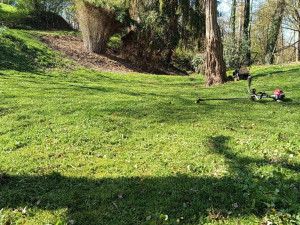 Photo de galerie - Tonte 