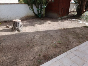 Photo de galerie - Après le tronc est resté à la demande de mes clients pour y déposer des fleurs décoratives 