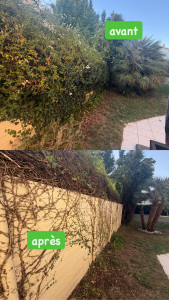 Photo de galerie - Entretien jardin, paysagiste
