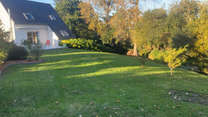Photo de galerie - Tonte de pelouse grande surface 