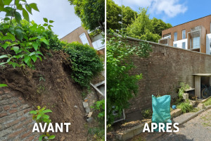 Photo de galerie - Enlèvement lierre 20m de long 