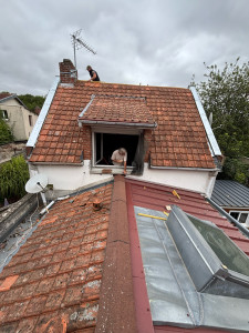 Photo de galerie - Nettoyage de toiture 