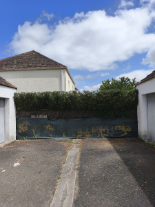 Photo de galerie - Taille de haies et d'arbustes
