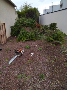 Photo de galerie - Terrassement - Assainissement