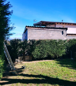 Photo de galerie - Taille de haies et d'arbustes