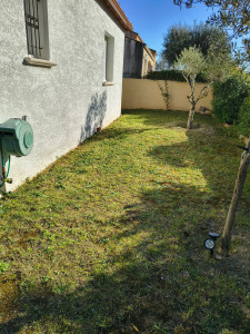 Photo de galerie - Tonte de pelouse - Débroussaillage