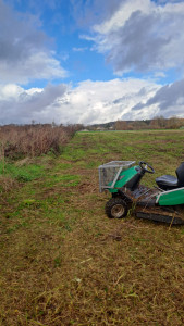 Photo de galerie - Débroussailleuse  tout  surface 