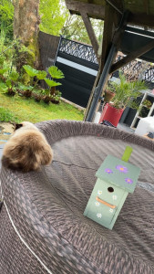 Photo de galerie - Bricolage et multi services