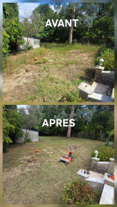 Photo de galerie - Suite à une vente immobilière, la cliente voulait couper toutes les ronces et les rejets de son terrain. 