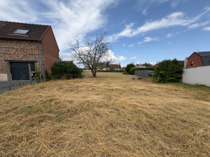 Photo de galerie - 1000m2 à débroussailler après (sans ramassage) 