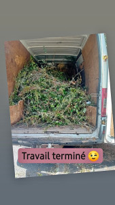 Photo de galerie - Tonte - debroussaillage ?