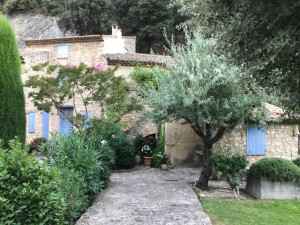 Photo de galerie - Paysagiste - Aménagement du jardin
