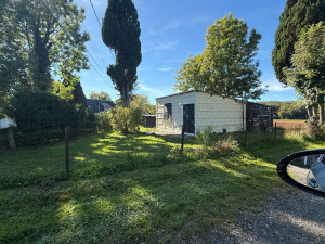 Photo de galerie - Taille de sapin du sud