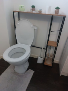 Photo de galerie - Pose et raccordement wc