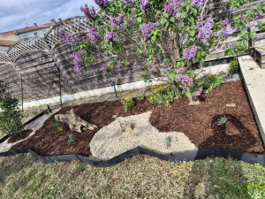 Photo de galerie - Création paysagère 