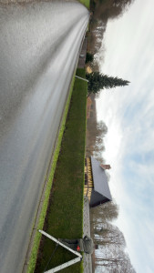 Photo de galerie - Taille de haies et d'arbustes