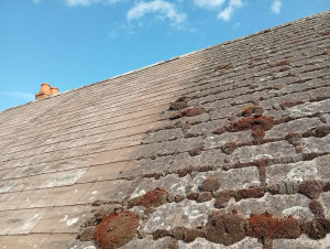 Photo de galerie - Couverture - Toiture