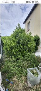 Photo de galerie - Avant 