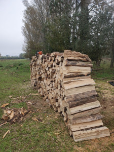 Photo de galerie - COUPE DE BOIS CHAUFFAGE 