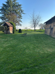 Photo de galerie - Tonte de pelouse - Débroussaillage