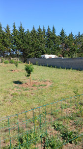 Photo de galerie - Nettoyages jardins 