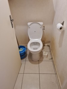 Photo de galerie -  remplacement  WC 