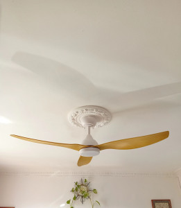 Photo de galerie - Installation du ventilateur et de la rosace 
