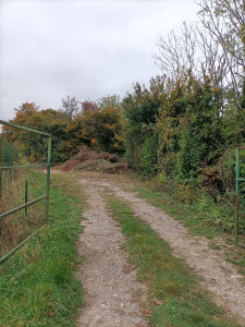 Photo de galerie - Déchetterie espace vert 