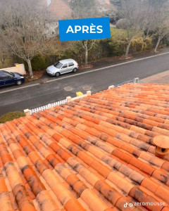 Photo de galerie - Nettoyage et finition  d’alpe 2100