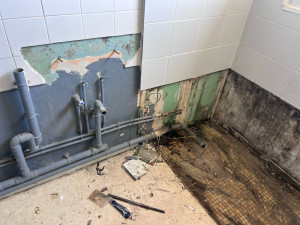 Photo de galerie - Remplacement baignoire et lavabo