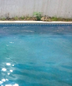 Photo de galerie - Entretien piscine