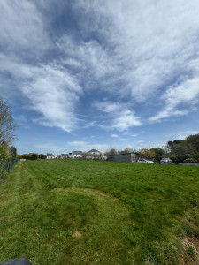 Photo de galerie - Avant-première tonte