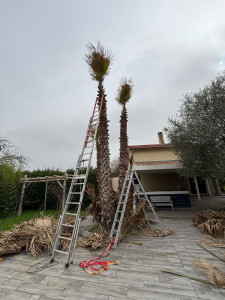 Photo de galerie - Magnifique Pamiers, d’environ 8 m