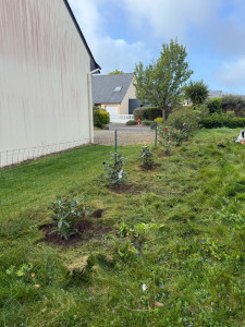 Photo de galerie - Plantations