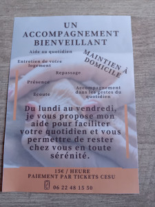 Photo de galerie - Entretien de votre logement, repassage, accompagnement dans les gestes du quotidien,  présence,  écoute....