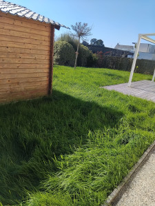Photo de galerie - Tonte de pelouse sur billiers dans le Morbihan 