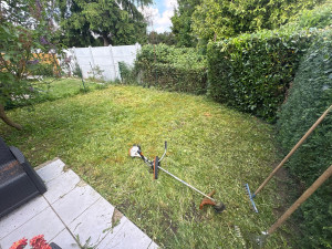 Photo de galerie - Débroussaillage et taille de haie 
