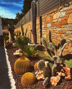 Photo de galerie - Paysagiste - Aménagement du jardin