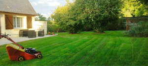 Photo de galerie - Tonte de pelouse
