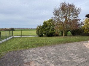 Photo de galerie - Tonte de pelouse, taille d’arbuste, taille de haires , ramassage de feuille. 