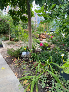 Photo de galerie - Jardinier