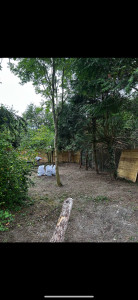 Photo de galerie - Nettoyage de terrain 