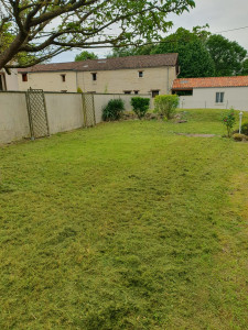 Photo de galerie - Tonte pelouse