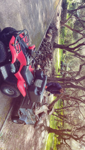 Photo de galerie - Quad remorque 